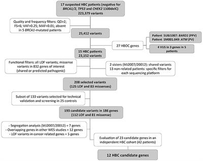 Complex Landscape of Germline Variants in Brazilian Patients With Hereditary and Early Onset Breast Cancer